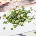 Dried Vegetable Factory - Dehydrated Spring Onion Chive Cutter