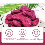 Freeze-Dried Pitaya Supplier - Red Dragon Fruit Sweet Taste Bulk