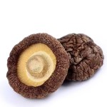 Shiitake Mushroom Supplier - Bulk Dehydrated Mushroom Cooking