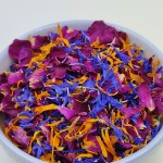 Cornflowers Tea Manufacturer - Organic Dried 4 Colors Petal Mix