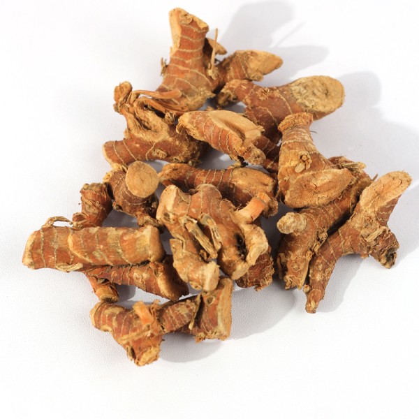 Galangal Root Supplier - Premium Single Spice Herb Bulk