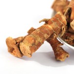 Galangal Root Supplier - Premium Single Spice Herb Bulk