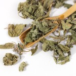 Lysimachia Herb Supplier - Foenum-graecum Health Spice