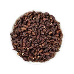 Cyperus Root Supplier - Natural Dried Rhizoma Cyperi Sale