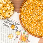 Mushroom Popcorn Factory - Corn Kernels Grain Snacks Wholesale