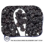 Blueberry Supplier - Dried Fruits Healthy Delicious Rich Nutrition