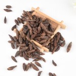 Cyperus Root Supplier - Natural Dried Rhizoma Cyperi Sale