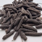 Long Pepper Factory - High Quality Natural Piper Longum Spice