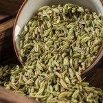 Fennel Seeds Manufacturer - Organic Premium Long-Lasting Spice