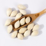 Ginkgo Fruit Factory - Natural Healthy Ingredient for Soups