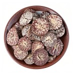 Betel Nut Factory - Natural Brown Dried Slices Wholesale