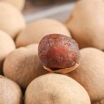 Dried Longan Manufacturer - Crispy Snack Whole Fruit Wholesaler