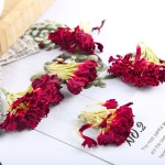 Carnation Flower Factory - Edible Leaves Medicinal Extract OEM