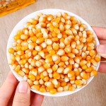 Popcorn Snack Manufacturer - Mushroom-Shaped Hard Texture Sweet