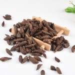 Cyperus Root Supplier - Natural Dried Rhizoma Cyperi Sale