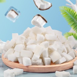 Freeze-Dried Coconut Factory - 5mm Pieces 0 Sugar 5A Quality