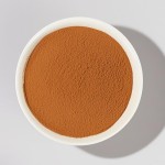 Cinnamon Powder Factory - New Crop Cassia Powder Natural