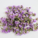 Flower Petals Supplier - Handmade Purple Blue Yellow Decor