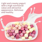 Yogurt Block Factory - Pineapple Strawberry Flavor FD Process