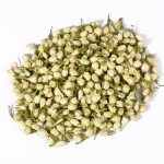 Jasmine Tea Manufacturer - Blooming 100% Natural Dried Flower