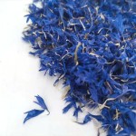 Blooming Tea Supplier - Organic Blue Cornflowers Petals Bulk