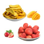 Fruit Chips Factory - Organic Mango Fig Strawberry Green Bulk