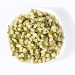 Jasmine Tea Manufacturer - Blooming 100% Natural Dried Flower