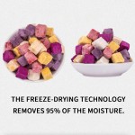 Yogurt Crisp Manufacturer - Freeze-dried Granule Probiotic Snack