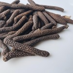 Long Pepper Factory - High Quality Natural Piper Longum Spice