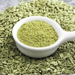 Fennel Seeds Supplier - 100% Natural Organic Spice Powder