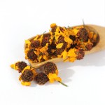 Snow Chrysanthemum Factory - Kunlun Mountain Dried Flower Top