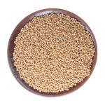 Mustard Seed Supplier - White Grain Spice Cooking Seasoning