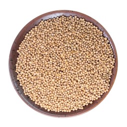 Mustard Seed Supplier - White Grain Spice Cooking Seasoning