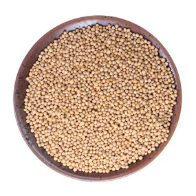 Mustard Seed Supplier - White Grain Spice Cooking Seasoning