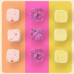 Yogurt Block Factory - Pineapple Strawberry Flavor FD Process