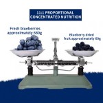 Blueberry Supplier - Dried Fruits Healthy Delicious Rich Nutrition