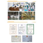 Codonopsis Root Factory - Natural Dried Radix Extract Herb