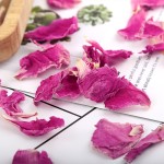Peony Petals Factory - Organic Pink Mu Dan Medicinal Custom
