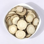 Angelica Root Manufacturer - Radix Angelica Dahurica Health