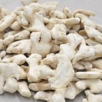 Dried Ginger Manufacturer - Raw Dry Ginger Wholesale Price