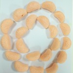 Freeze-Dried Gummy Candy Manufacturer - Tangerine Shape Sour Flavor Bulk