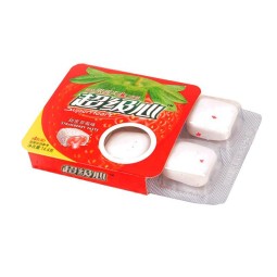 Chewing Gum Manufacturer - Fresh Mint Center Filling Pillow Pack