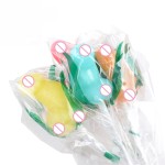 Lollipop Supplier - Penis Shape Hard Candy Sucker