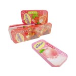 Mints Supplier - Vitamin C Fruit Powder Tin Packaging
