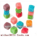 Gummy Candy Supplier - Fruit Shape Party Gift Halal Cubes