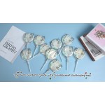 Photo Lollipop Manufacturer - Customized Halloween Christmas