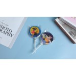 Photo Lollipop Manufacturer - Customized Halloween Christmas