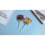 Photo Lollipop Manufacturer - Customized Halloween Christmas