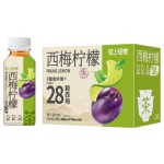 Drink Beverage Supplier - 0 Sugar Prune Oolong Tea 450ml