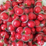 Fruit Gummy Candy Factory - Strawberry Burst Jelly Filled Chewy